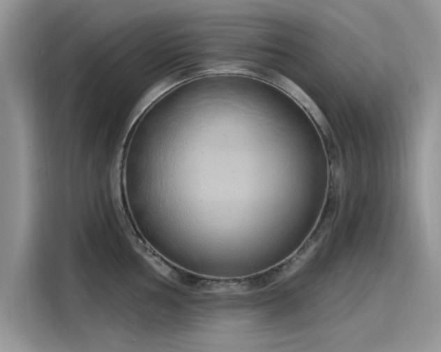 X0000116111002200911301119