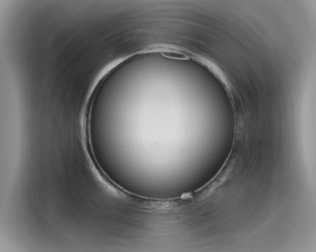 X0000116111003200911301119