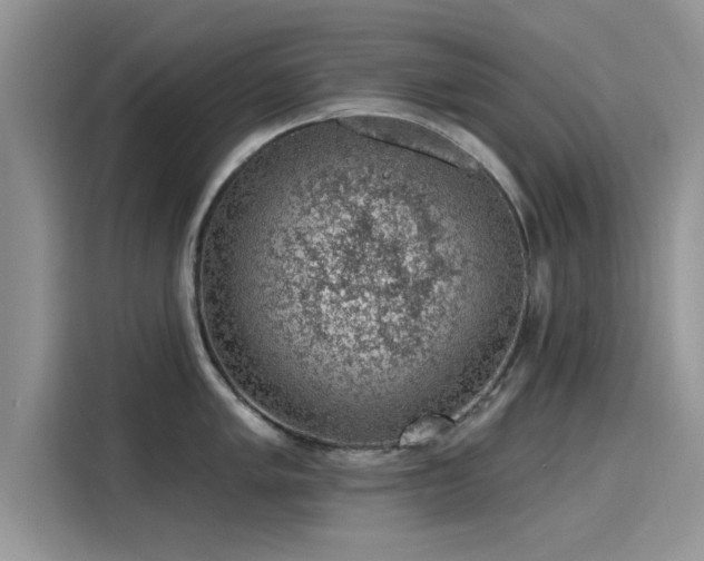 X0000116111005200911301119