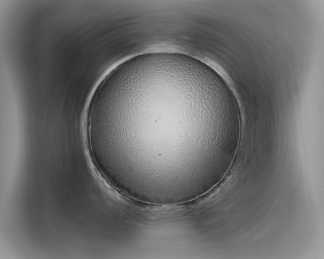 X0000116111008200911301119