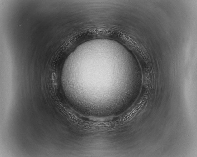 X0000116111010200911301118