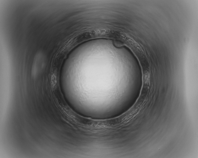 X0000116111011200911301118