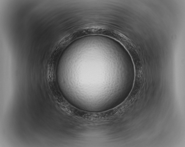 X0000116111014200911301118