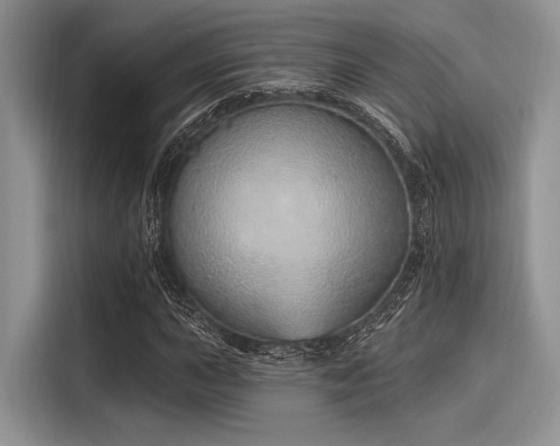 X0000116111015200911301118