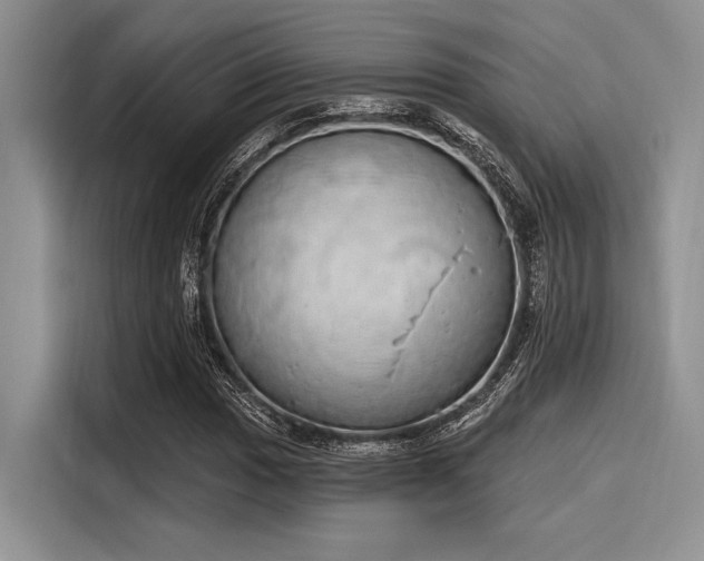 X0000116111017200911301118