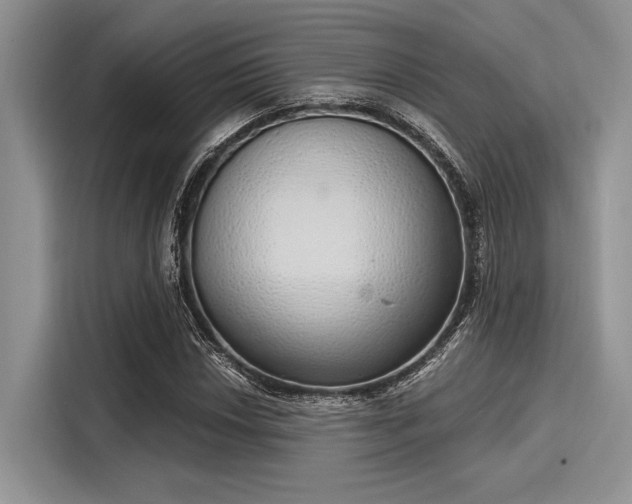 X0000116111018200911301118