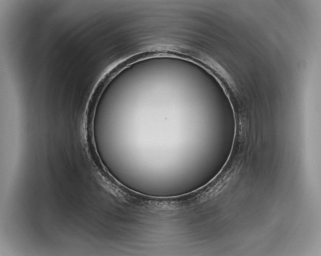 X0000116111020200911301118