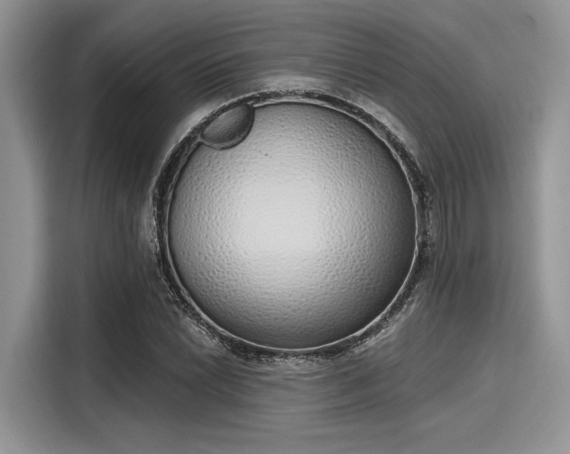 X0000116111022200911301118