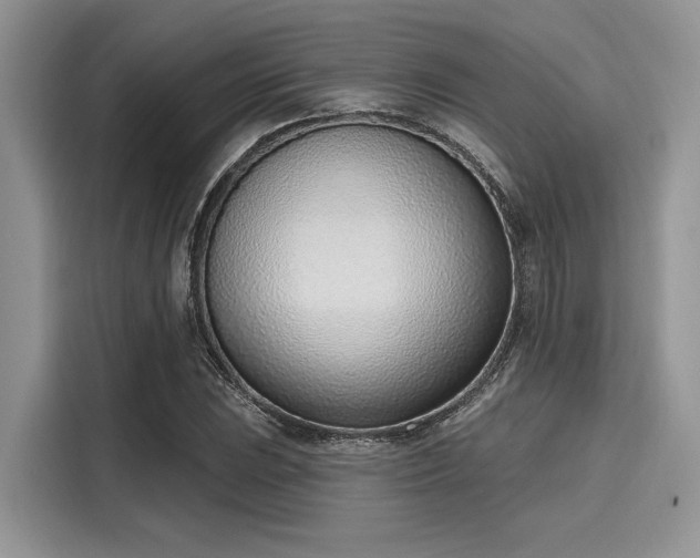 X0000116111023200911301119