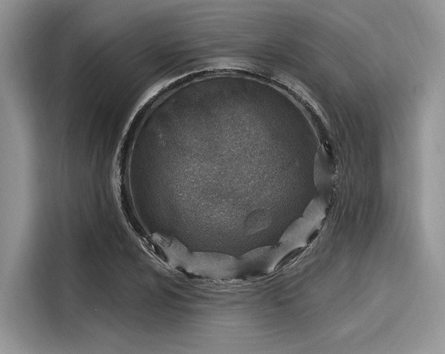 X0000116111024200911301119