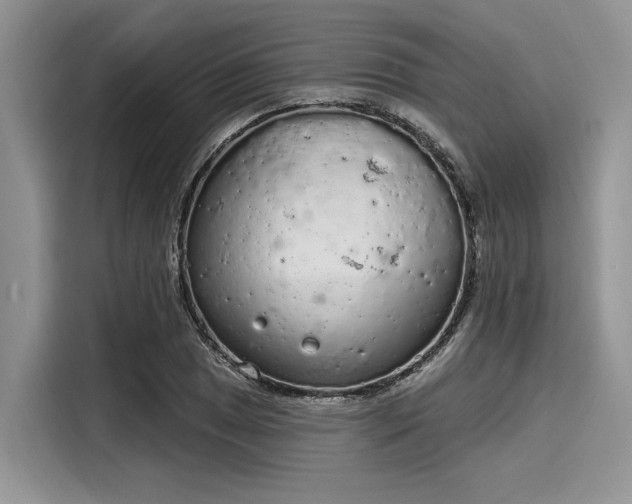 X0000116111025200911301119