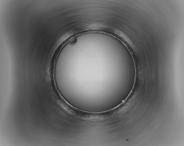 X0000116111026200911301119