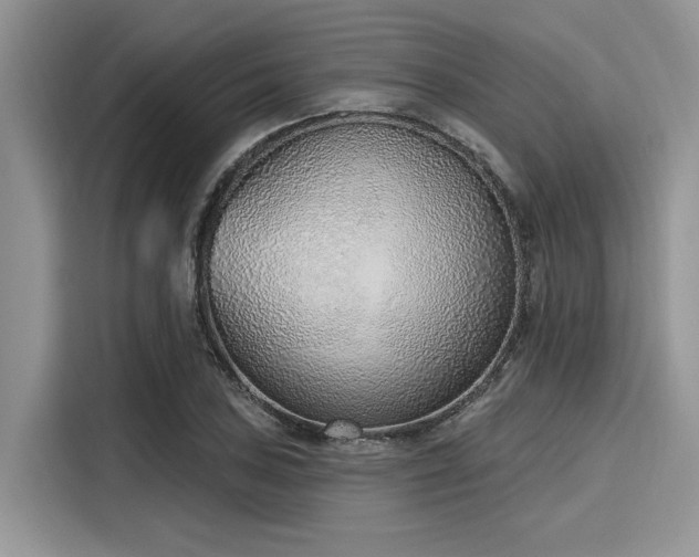 X0000116111027200911301119