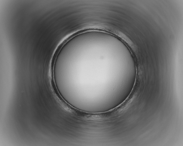 X0000116111028200911301119