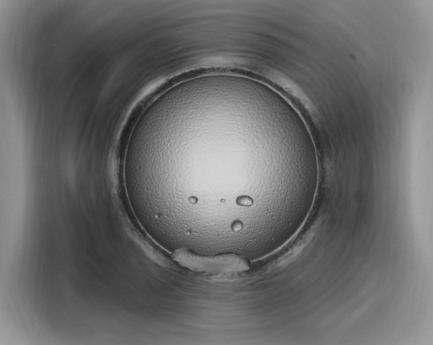 X0000116111029200911301119