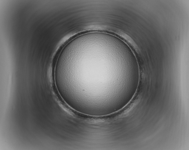 X0000116111030200911301119