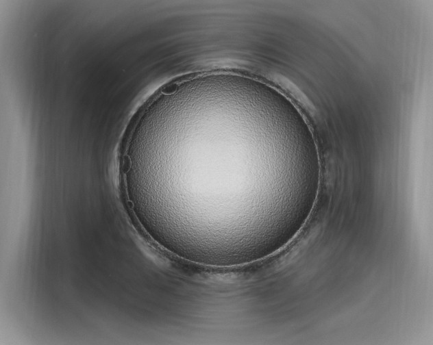 X0000116111031200911301119