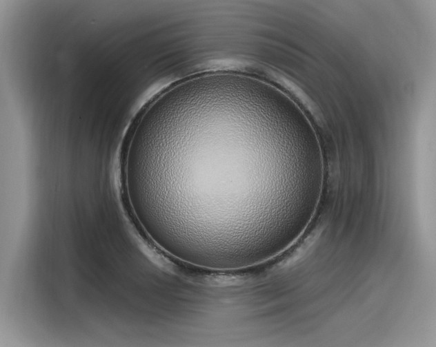 X0000116111034200911301119