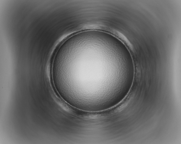 X0000116111035200911301119