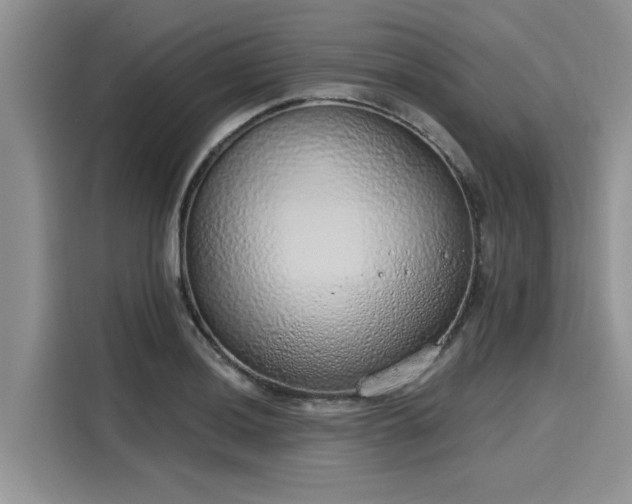 X0000116111036200911301119