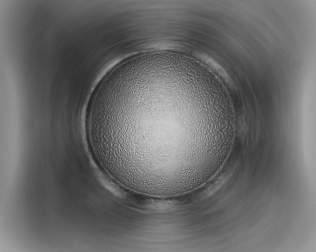 X0000116111039200911301119