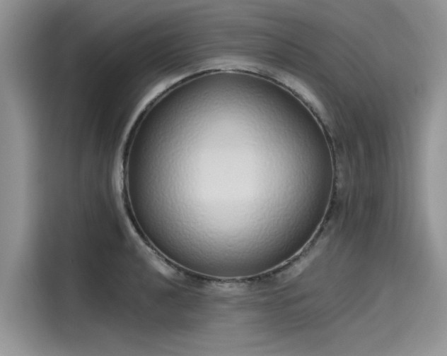 X0000116111040200911301119