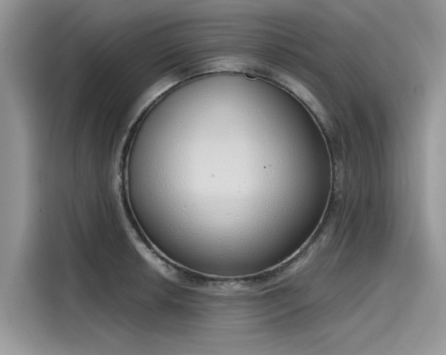 X0000116111042200911301119