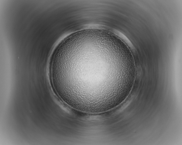 X0000116111043200911301119