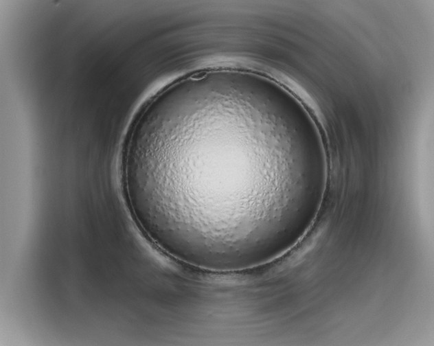 X0000116111045200911301119