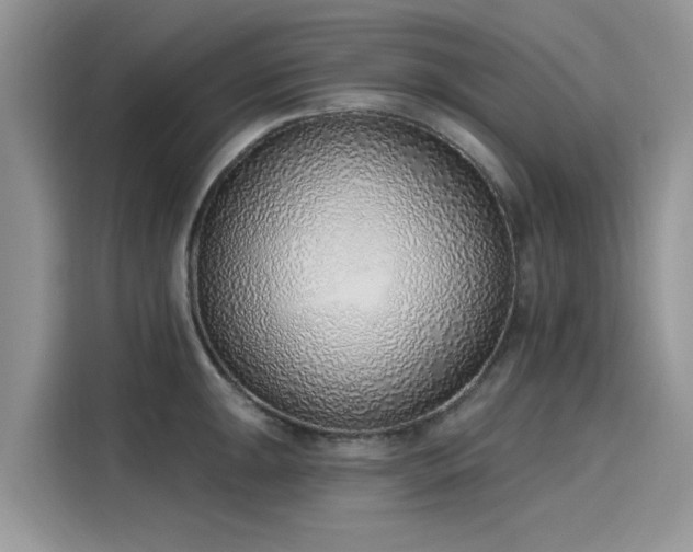 X0000116111047200911301119