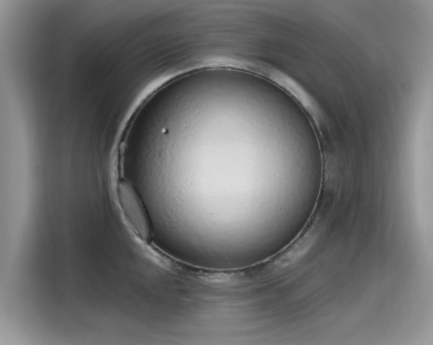 X0000116111048200911301119