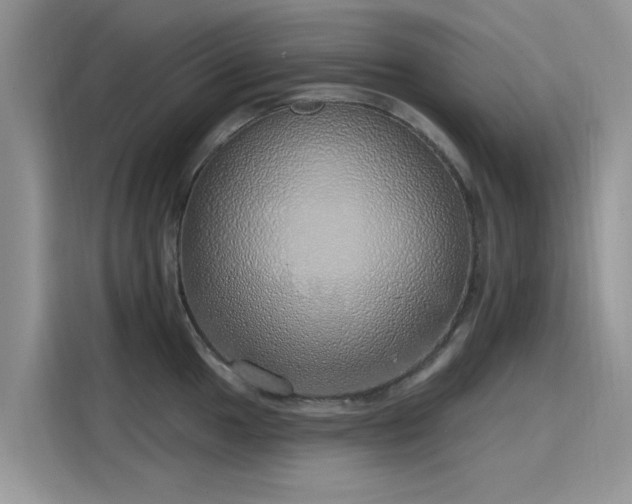 X0000116111049200911301119