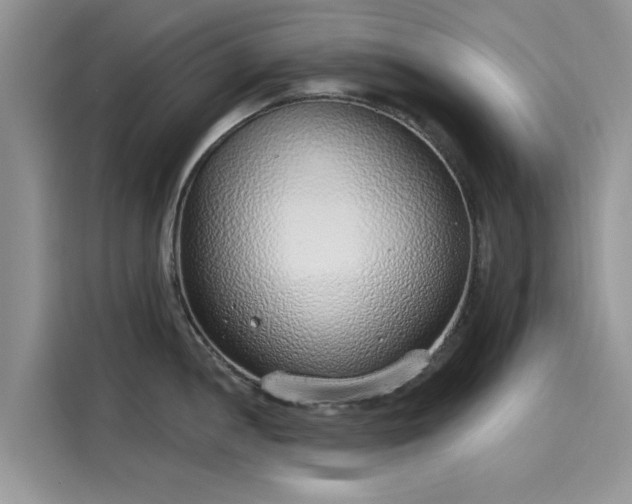 X0000116111052200911301119