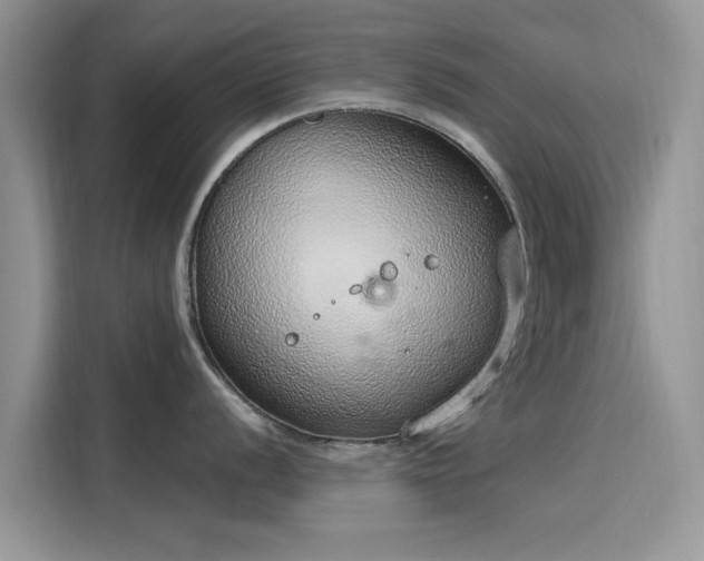 X0000116111056200911301119