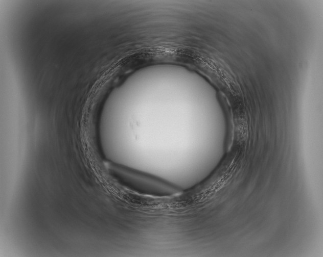 X0000116111057200911301118