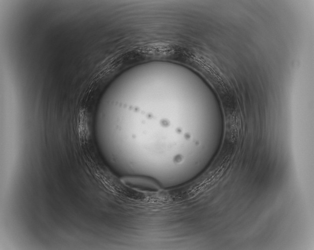 X0000116111058200911301118