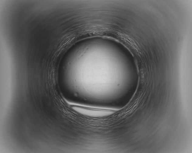 X0000116111060200911301118