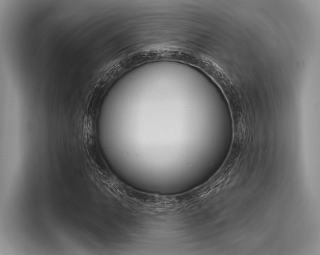 X0000116111062200911301118