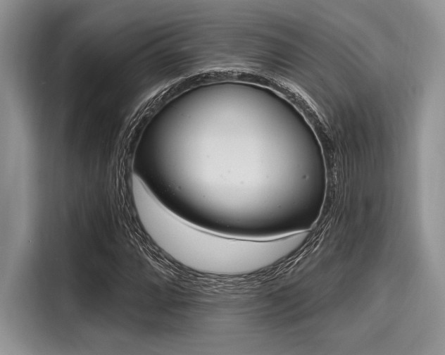 X0000116111064200911301118