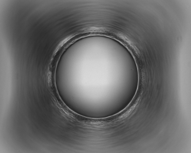 X0000116111066200911301118