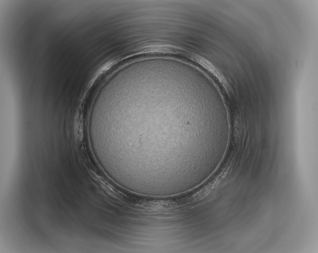 X0000116111067200911301118