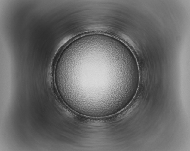 X0000116111071200911301118