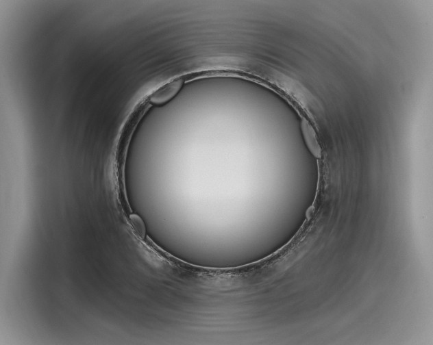 X0000116111072200911301118