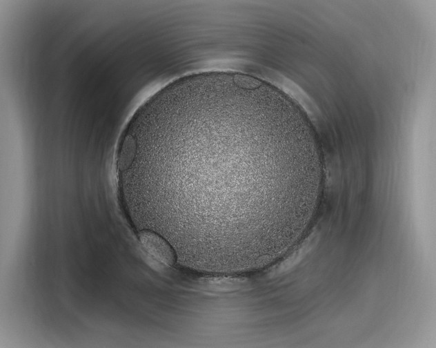 X0000116111077200911301118