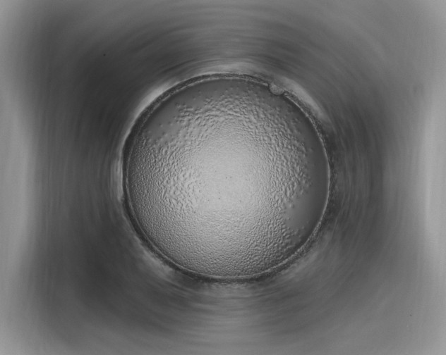 X0000116111079200911301118