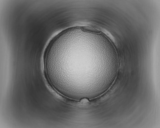 X0000116111080200911301118