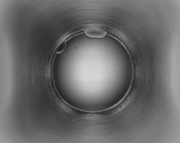 X0000116111081200911301118