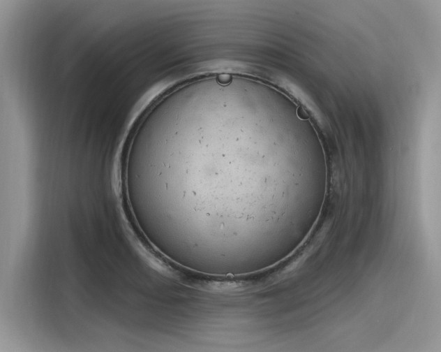 X0000116111082200911301118