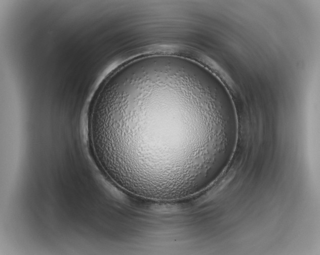 X0000116111083200911301118