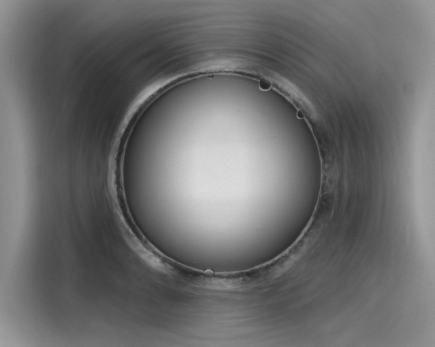 X0000116111086200911301118